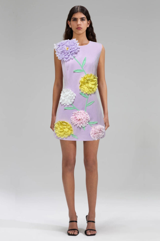 Sibyl Floral Applique Sleeveless Mini Dress | Dress In Beauty