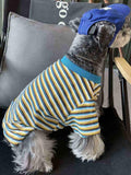 Side view of a Mini Schnauzer dog wearing a yellow, blue, and white striped pet t-shirt and a blue baseball cap.