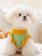 Small white dog wearing a green and yellow knit sweater with ruffle trim