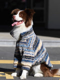 A border collie dog sitting and looking to the side, wearing a blue, yellow, and grey striped hooded fleece coat.