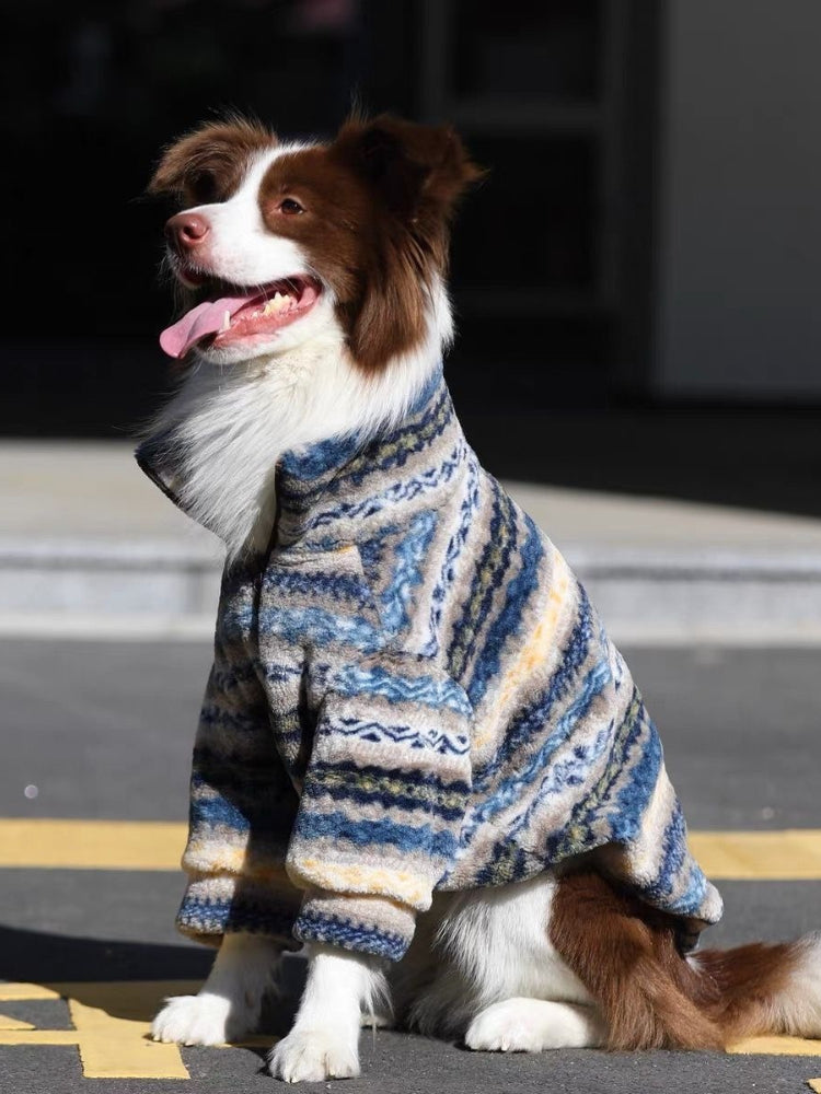 A border collie dog sitting and looking to the side, wearing a blue, yellow, and grey striped hooded fleece coat.