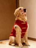 Side view of a Golden Retriever dog in a red festive dog vest.