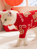 Cat walking in a red patterned knit sweater