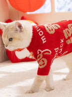 Cat walking in a red patterned knit sweater