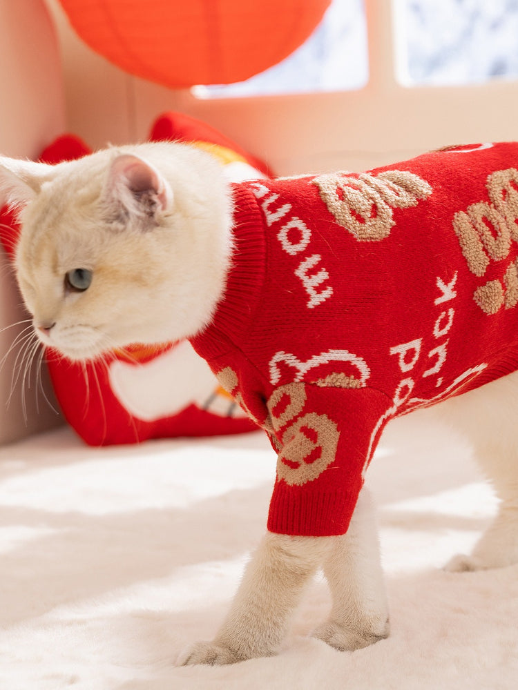Cat walking in a red patterned knit sweater