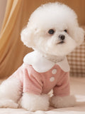Ribbed dog sweater with embroidery and Peter Pan collar - View 6 | WEUXS