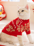 Close-up of a cat wearing a red festive pet sweater