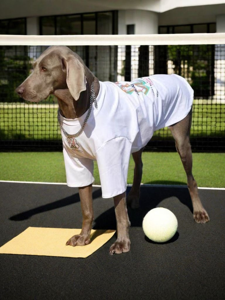 Weimaraner dog wearing a white t-shirt with a colorful graphic print and a silver chain, standing on a mat on a tennis court next to a tennis ball.