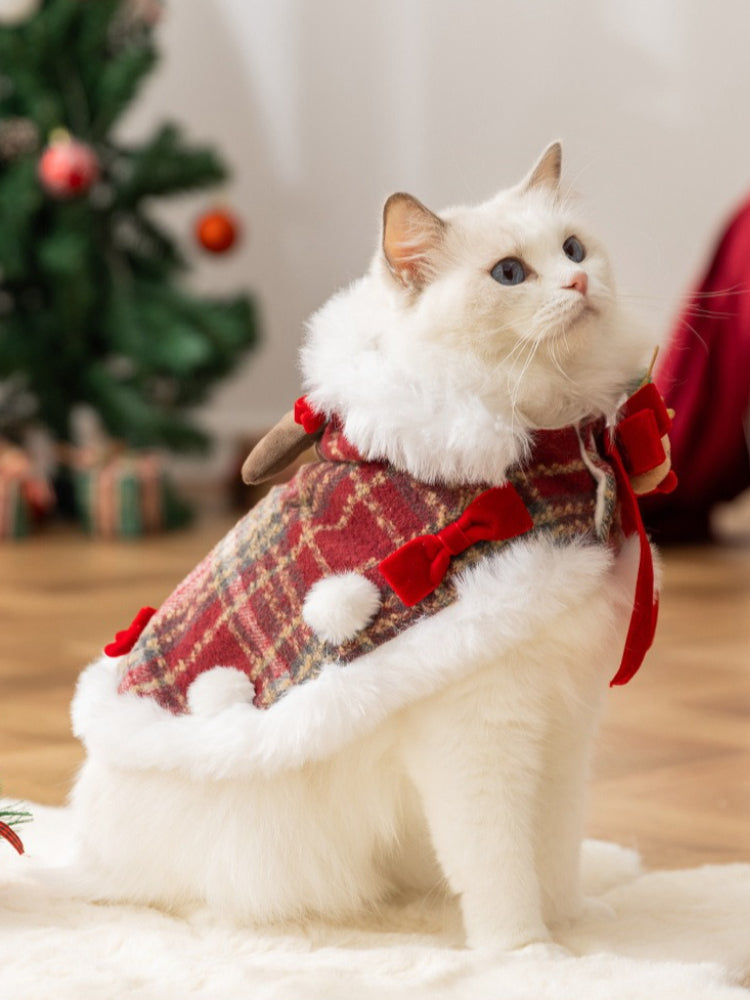 A white cat wearing a Christmas cape with a plaid pattern, faux fur trim, and small red bows, sitting in a festive setting.
