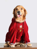 Golden Retriever dog wearing a red hooded sweatshirt with gold Chinese characters and 'MADE IN CHINA' text.