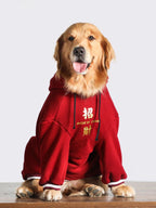 Golden Retriever dog wearing a red hooded sweatshirt with gold Chinese characters and 'MADE IN CHINA' text.