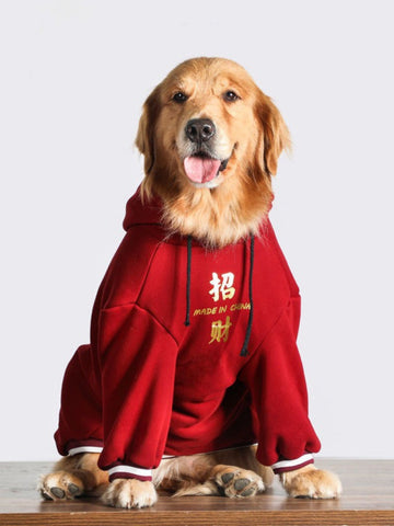 Golden Retriever dog wearing a red hooded sweatshirt with gold Chinese characters and 'MADE IN CHINA' text.