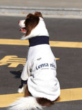Back view of a dog in a light gray fleece jacket