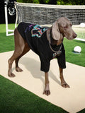 Weimaraner dog wearing a black t-shirt with a colorful graphic print and a silver chain, standing on a mat in front of a soccer net.