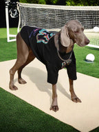Weimaraner dog wearing a black t-shirt with a colorful graphic print and a silver chain, standing on a mat in front of a soccer net.