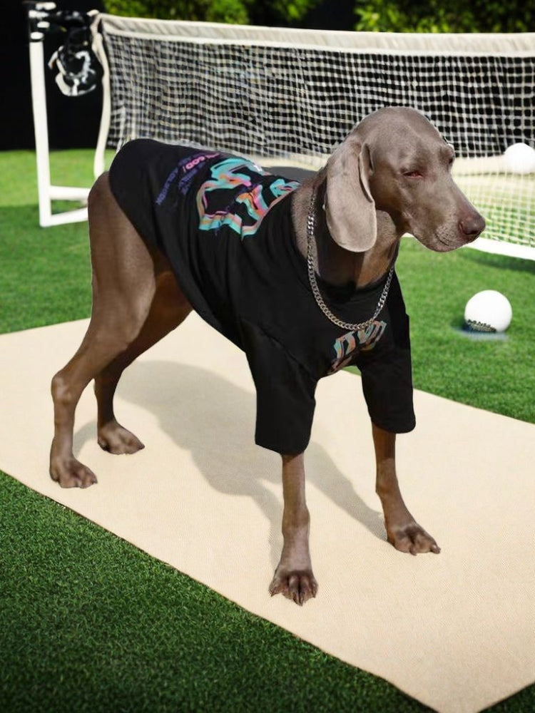 Weimaraner dog wearing a black t-shirt with a colorful graphic print and a silver chain, standing on a mat in front of a soccer net.
