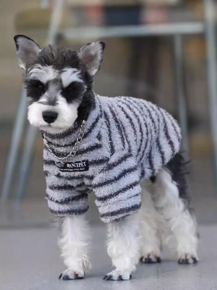 Full body shot of a dog in a grey and black striped terry cloth sweater.