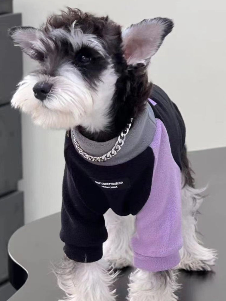 Miniature schnauzer wearing a black and purple dog onesie with a faux chain collar detail.