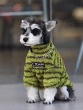 A small dog in a lime green and brown striped terry cloth sweater.