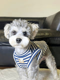 Small dog wearing a blue and white striped tank top with a heart accent.