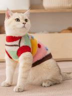 A light-colored cat sits in a colorful striped knit sweater with a crew neck and short sleeves.