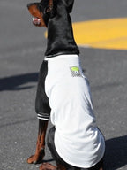 Large Dog Breathable Mesh T-Shirt