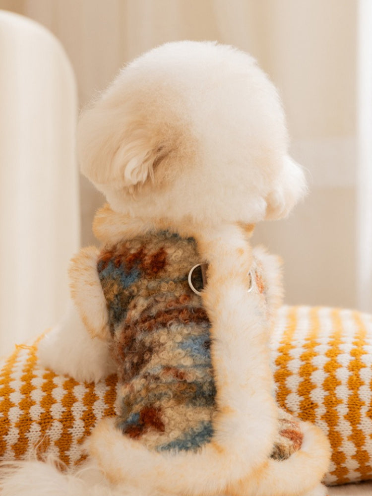 Back view of a dog in a textured Fair Isle dog vest