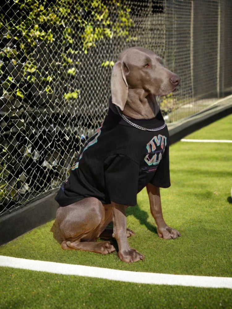 Weimaraner dog wearing a black t-shirt with a colorful graphic print and a silver chain, sitting on grass next to a fence.