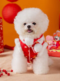 Bichon Frise dog wearing a red festive pet vest with white faux fur trim and Chinese knot buttons