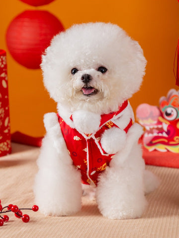 Bichon Frise dog wearing a red festive pet vest with white faux fur trim and Chinese knot buttons