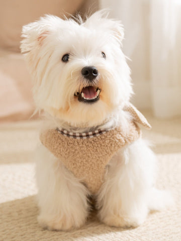 Small white dog wearing a tan fleece vest with bear appliques and plaid trim.