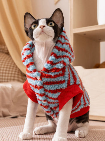 Sphynx cat wearing a blue and red striped sherpa fleece hoodie with a hood up.