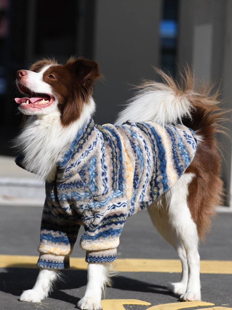 Side view of a border collie dog wearing a blue, yellow, and grey striped hooded fleece coat, standing outdoors.