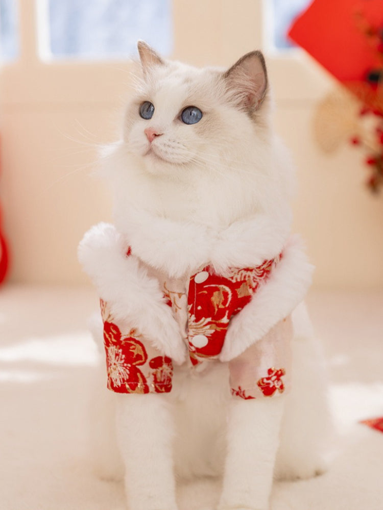 Side view of a white cat wearing a red traditional Chinese style coat with red floral print and faux fur trim