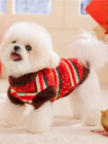 White Bichon Frise dog standing sideways, showcasing a red, green, and white striped knit sweater with brown fuzzy trim.
