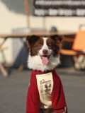 Happy dog posing in a comfortable fleece dog garment.