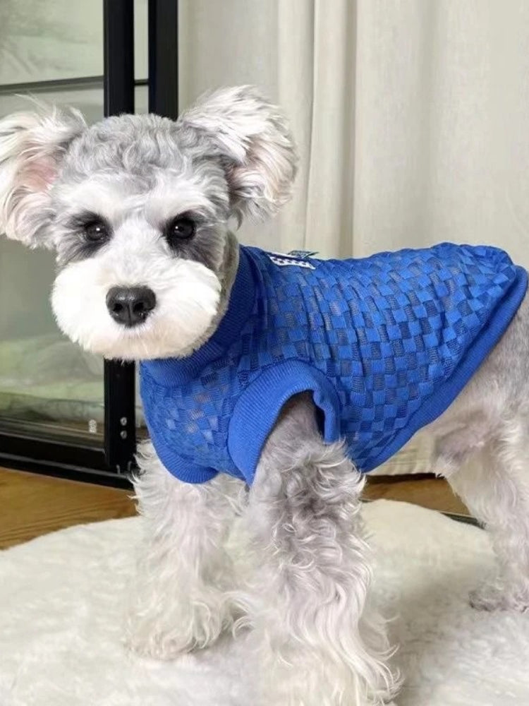 Miniature Schnauzer dog standing on a rug wearing a blue checkered knit dog sweater