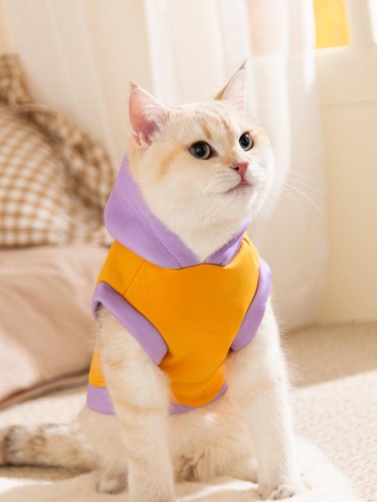 A cat sits wearing a bright yellow hooded vest with purple trim.