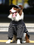 Dog wearing a black and white striped sweater and matching hat.