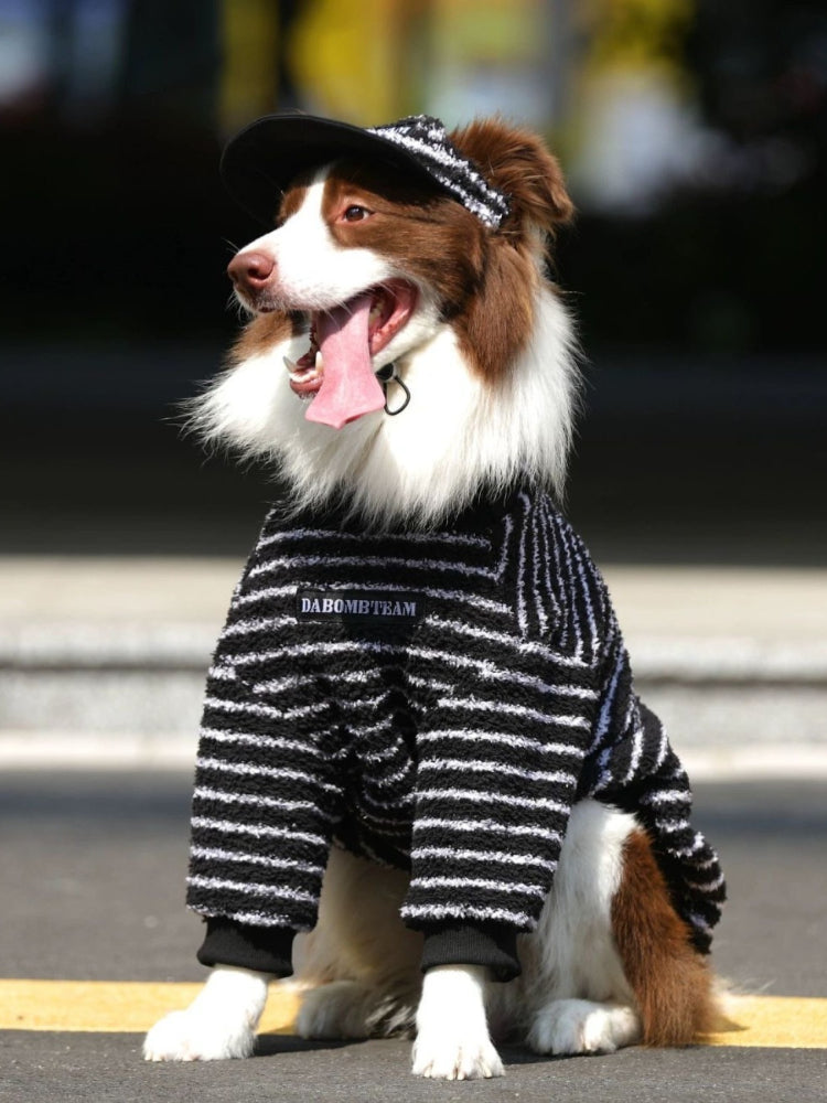 Dog wearing a black and white striped sweater and matching hat.