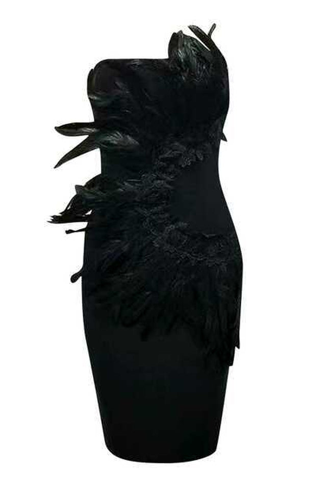 HESTER Feathers Dress | Dress In Beauty