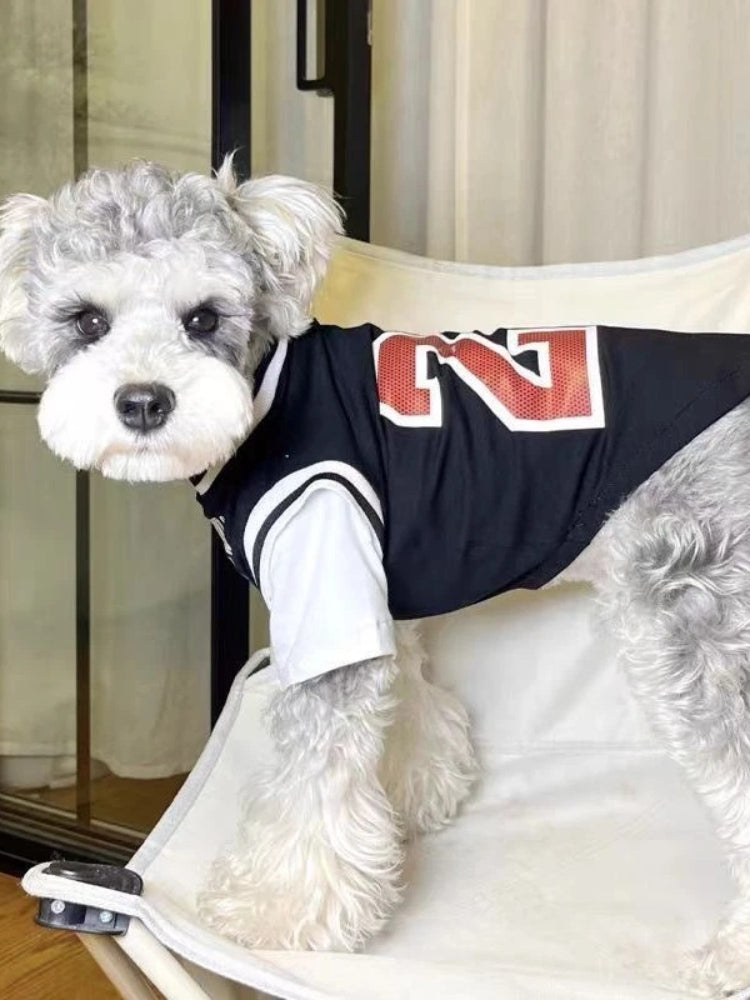 Side view of a small dog wearing a Bulls 23 jersey