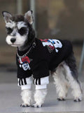 Mini schnauzer dog standing and wearing a black graphic print pullover with white contrasting cuffs.