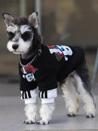 Mini schnauzer dog standing and wearing a black graphic print pullover with white contrasting cuffs.