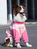 A border collie dog wearing a pink and light pink color-blocked fleece dog sweatshirt with a crew neck and long sleeves.