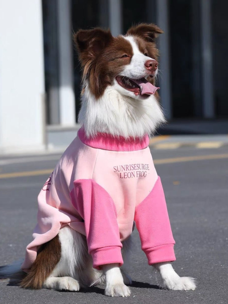 A border collie dog wearing a pink and light pink color-blocked fleece dog sweatshirt with a crew neck and long sleeves.