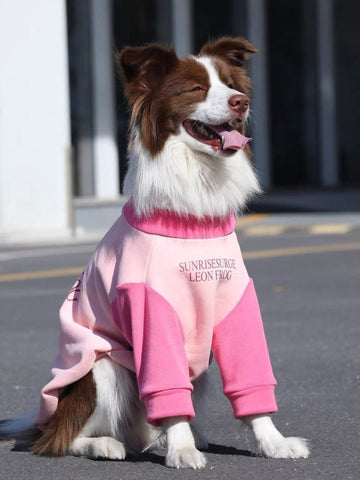 A border collie dog wearing a pink and light pink color-blocked fleece dog sweatshirt with a crew neck and long sleeves.