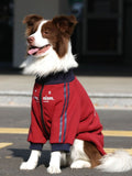 Dog wearing a red fleece jacket with blue trim and graphic print