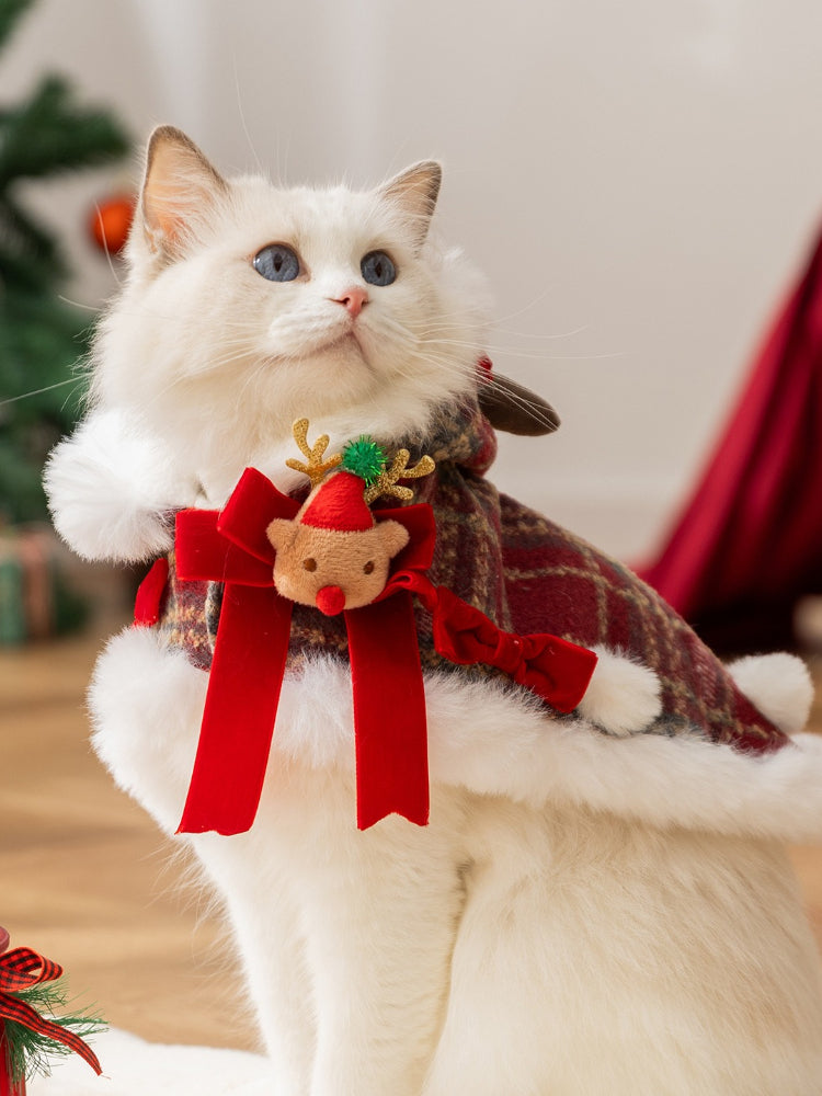 Close-up of a white cat wearing a Christmas cape featuring a reindeer character embellishment and red bows.