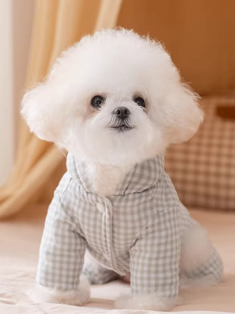 A Bichon Frise dog wearing a light green gingham hooded dog suit with a light green pom-pom accent.